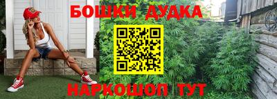 jwh Камышлов