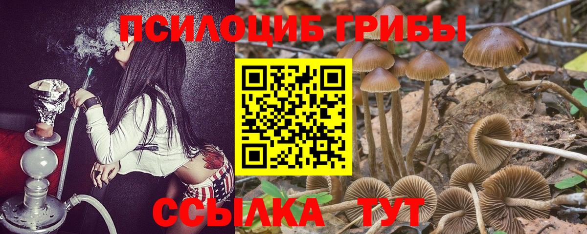 Лабытнанги  Галлюциногенные грибы Cubensis  Вход с VPN 